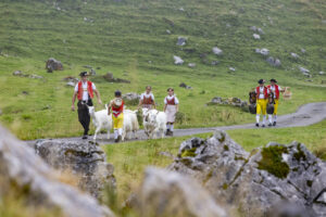 Alpabfahrt, Alpen, Alpfahrt, Alps, Appenzell Ausserrohden, Autumn, Brauchtum, Fall, Herbst, Hundwil, Ostschweiz, Schweiz, Schwägalp, Sennen, Suisse, Switzerland, Tracht, Urnäsch, tradition, Öberefahre