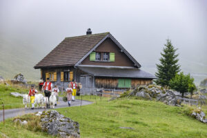 Alpabfahrt, Alpen, Alpfahrt, Alps, Appenzell Ausserrohden, Autumn, Brauchtum, Fall, Herbst, Hundwil, Ostschweiz, Schweiz, Schwägalp, Sennen, Suisse, Switzerland, Tracht, Urnäsch, tradition, Öberefahre