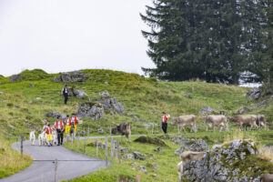 Alpabfahrt, Alpen, Alpfahrt, Alps, Appenzell Ausserrohden, Autumn, Brauchtum, Fall, Herbst, Hundwil, Ostschweiz, Schweiz, Schwägalp, Sennen, Suisse, Switzerland, Tracht, Urnäsch, tradition, Öberefahre