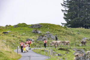 Alpabfahrt, Alpen, Alpfahrt, Alps, Appenzell Ausserrohden, Autumn, Brauchtum, Fall, Herbst, Hundwil, Ostschweiz, Schweiz, Schwägalp, Sennen, Suisse, Switzerland, Tracht, Urnäsch, tradition, Öberefahre