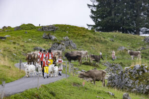 Alpabfahrt, Alpen, Alpfahrt, Alps, Appenzell Ausserrohden, Autumn, Brauchtum, Fall, Herbst, Hundwil, Ostschweiz, Schweiz, Schwägalp, Sennen, Suisse, Switzerland, Tracht, Urnäsch, tradition, Öberefahre