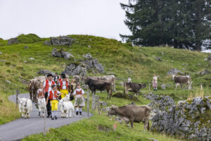 Alpabfahrt, Alpen, Alpfahrt, Alps, Appenzell Ausserrohden, Autumn, Brauchtum, Fall, Herbst, Hundwil, Ostschweiz, Schweiz, Schwägalp, Sennen, Suisse, Switzerland, Tracht, Urnäsch, tradition, Öberefahre