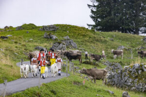 Alpabfahrt, Alpen, Alpfahrt, Alps, Appenzell Ausserrohden, Autumn, Brauchtum, Fall, Herbst, Hundwil, Ostschweiz, Schweiz, Schwägalp, Sennen, Suisse, Switzerland, Tracht, Urnäsch, tradition, Öberefahre