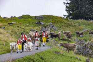 Alpabfahrt, Alpen, Alpfahrt, Alps, Appenzell Ausserrohden, Autumn, Brauchtum, Fall, Herbst, Hundwil, Ostschweiz, Schweiz, Schwägalp, Sennen, Suisse, Switzerland, Tracht, Urnäsch, tradition, Öberefahre