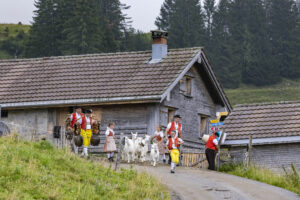 Alpabfahrt, Alpen, Alpfahrt, Alps, Appenzell Ausserrohden, Autumn, Brauchtum, Fall, Herbst, Hundwil, Ostschweiz, Schweiz, Schwägalp, Sennen, Suisse, Switzerland, Tracht, Urnäsch, tradition, Öberefahre