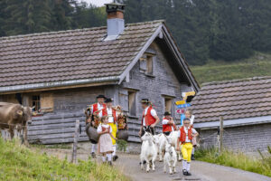 Alpabfahrt, Alpen, Alpfahrt, Alps, Appenzell Ausserrohden, Autumn, Brauchtum, Fall, Herbst, Hundwil, Ostschweiz, Schweiz, Schwägalp, Sennen, Suisse, Switzerland, Tracht, Urnäsch, tradition, Öberefahre