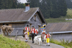 Alpabfahrt, Alpen, Alpfahrt, Alps, Appenzell Ausserrohden, Autumn, Brauchtum, Fall, Herbst, Hundwil, Ostschweiz, Schweiz, Schwägalp, Sennen, Suisse, Switzerland, Tracht, Urnäsch, tradition, Öberefahre