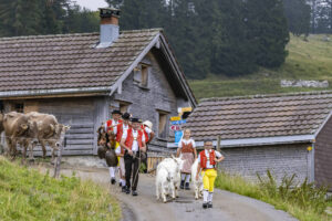 Alpabfahrt, Alpen, Alpfahrt, Alps, Appenzell Ausserrohden, Autumn, Brauchtum, Fall, Herbst, Hundwil, Ostschweiz, Schweiz, Schwägalp, Sennen, Suisse, Switzerland, Tracht, Urnäsch, tradition, Öberefahre