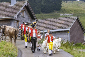 Alpabfahrt, Alpen, Alpfahrt, Alps, Appenzell Ausserrohden, Autumn, Brauchtum, Fall, Herbst, Hundwil, Ostschweiz, Schweiz, Schwägalp, Sennen, Suisse, Switzerland, Tracht, Urnäsch, tradition, Öberefahre