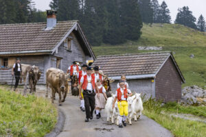 Alpabfahrt, Alpen, Alpfahrt, Alps, Appenzell Ausserrohden, Autumn, Brauchtum, Fall, Herbst, Hundwil, Ostschweiz, Schweiz, Schwägalp, Sennen, Suisse, Switzerland, Tracht, Urnäsch, tradition, Öberefahre