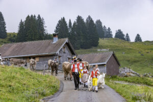 Alpabfahrt, Alpen, Alpfahrt, Alps, Appenzell Ausserrohden, Autumn, Brauchtum, Fall, Herbst, Hundwil, Ostschweiz, Schweiz, Schwägalp, Sennen, Suisse, Switzerland, Tracht, Urnäsch, tradition, Öberefahre