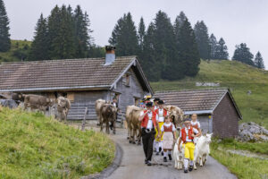 Alpabfahrt, Alpen, Alpfahrt, Alps, Appenzell Ausserrohden, Autumn, Brauchtum, Fall, Herbst, Hundwil, Ostschweiz, Schweiz, Schwägalp, Sennen, Suisse, Switzerland, Tracht, Urnäsch, tradition, Öberefahre