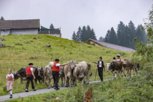 Alpabfahrt, Alpen, Alpfahrt, Alps, Appenzell Ausserrohden, Autumn, Brauchtum, Fall, Herbst, Hundwil, Ostschweiz, Schweiz, Schwägalp, Sennen, Suisse, Switzerland, Tracht, Urnäsch, tradition, Öberefahre