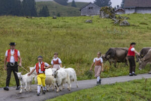 Alpabfahrt, Alpen, Alpfahrt, Alps, Appenzell Ausserrohden, Autumn, Brauchtum, Fall, Herbst, Hundwil, Ostschweiz, Schweiz, Schwägalp, Sennen, Suisse, Switzerland, Tracht, Urnäsch, tradition, Öberefahre