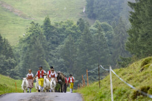 Alpabfahrt, Alpen, Alpfahrt, Alps, Appenzell Ausserrohden, Autumn, Brauchtum, Fall, Herbst, Hundwil, Ostschweiz, Schweiz, Schwägalp, Sennen, Suisse, Switzerland, Tracht, Urnäsch, tradition, Öberefahre