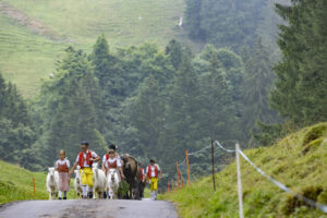 Alpabfahrt, Alpen, Alpfahrt, Alps, Appenzell Ausserrohden, Autumn, Brauchtum, Fall, Herbst, Hundwil, Ostschweiz, Schweiz, Schwägalp, Sennen, Suisse, Switzerland, Tracht, Urnäsch, tradition, Öberefahre