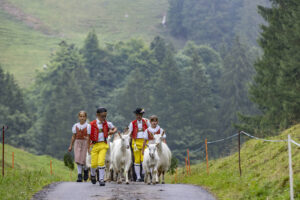 Alpabfahrt, Alpen, Alpfahrt, Alps, Appenzell Ausserrohden, Autumn, Brauchtum, Fall, Herbst, Hundwil, Ostschweiz, Schweiz, Schwägalp, Sennen, Suisse, Switzerland, Tracht, Urnäsch, tradition, Öberefahre