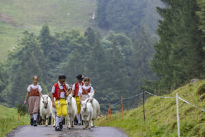 Alpabfahrt, Alpen, Alpfahrt, Alps, Appenzell Ausserrohden, Autumn, Brauchtum, Fall, Herbst, Hundwil, Ostschweiz, Schweiz, Schwägalp, Sennen, Suisse, Switzerland, Tracht, Urnäsch, tradition, Öberefahre