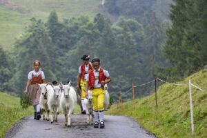 Alpabfahrt, Alpen, Alpfahrt, Alps, Appenzell Ausserrohden, Autumn, Brauchtum, Fall, Herbst, Hundwil, Ostschweiz, Schweiz, Schwägalp, Sennen, Suisse, Switzerland, Tracht, Urnäsch, tradition, Öberefahre