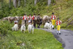 Alpabfahrt, Alpen, Alpfahrt, Alps, Appenzell Ausserrohden, Autumn, Brauchtum, Fall, Herbst, Hundwil, Ostschweiz, Schweiz, Schwägalp, Sennen, Suisse, Switzerland, Tracht, Urnäsch, tradition, Öberefahre