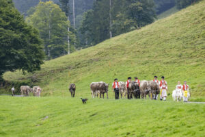 Alpabfahrt, Alpen, Alpfahrt, Alps, Appenzell Ausserrohden, Autumn, Brauchtum, Fall, Herbst, Hundwil, Ostschweiz, Schweiz, Schwägalp, Sennen, Suisse, Switzerland, Tracht, Urnäsch, tradition, Öberefahre