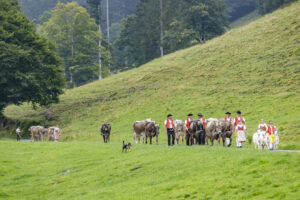 Alpabfahrt, Alpen, Alpfahrt, Alps, Appenzell Ausserrohden, Autumn, Brauchtum, Fall, Herbst, Hundwil, Ostschweiz, Schweiz, Schwägalp, Sennen, Suisse, Switzerland, Tracht, Urnäsch, tradition, Öberefahre