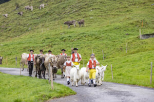 Alpabfahrt, Alpen, Alpfahrt, Alps, Appenzell Ausserrohden, Autumn, Brauchtum, Fall, Herbst, Hundwil, Ostschweiz, Schweiz, Schwägalp, Sennen, Suisse, Switzerland, Tracht, Urnäsch, tradition, Öberefahre