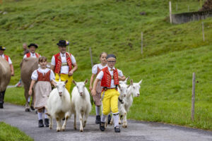 Alpabfahrt, Alpen, Alpfahrt, Alps, Appenzell Ausserrohden, Autumn, Brauchtum, Fall, Herbst, Hundwil, Ostschweiz, Schweiz, Schwägalp, Sennen, Suisse, Switzerland, Tracht, Urnäsch, tradition, Öberefahre