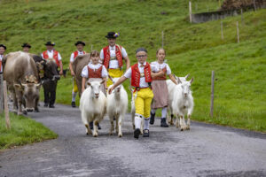 Alpabfahrt, Alpen, Alpfahrt, Alps, Appenzell Ausserrohden, Autumn, Brauchtum, Fall, Herbst, Hundwil, Ostschweiz, Schweiz, Schwägalp, Sennen, Suisse, Switzerland, Tracht, Urnäsch, tradition, Öberefahre