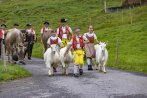 Alpabfahrt, Alpen, Alpfahrt, Alps, Appenzell Ausserrohden, Autumn, Brauchtum, Fall, Herbst, Hundwil, Ostschweiz, Schweiz, Schwägalp, Sennen, Suisse, Switzerland, Tracht, Urnäsch, tradition, Öberefahre