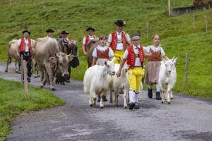 Alpabfahrt, Alpen, Alpfahrt, Alps, Appenzell Ausserrohden, Autumn, Brauchtum, Fall, Herbst, Hundwil, Ostschweiz, Schweiz, Schwägalp, Sennen, Suisse, Switzerland, Tracht, Urnäsch, tradition, Öberefahre