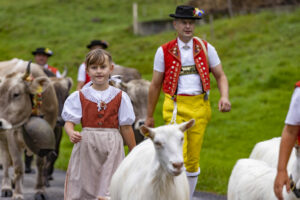 Alpabfahrt, Alpen, Alpfahrt, Alps, Appenzell Ausserrohden, Autumn, Brauchtum, Fall, Herbst, Hundwil, Ostschweiz, Schweiz, Schwägalp, Sennen, Suisse, Switzerland, Tracht, Urnäsch, tradition, Öberefahre