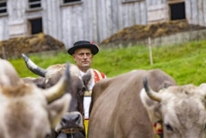 Alpabfahrt, Alpen, Alpfahrt, Alps, Appenzell Ausserrohden, Autumn, Brauchtum, Fall, Herbst, Hundwil, Ostschweiz, Schweiz, Schwägalp, Sennen, Suisse, Switzerland, Tracht, Urnäsch, tradition, Öberefahre