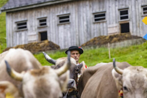 Alpabfahrt, Alpen, Alpfahrt, Alps, Appenzell Ausserrohden, Autumn, Brauchtum, Fall, Herbst, Hundwil, Ostschweiz, Schweiz, Schwägalp, Sennen, Suisse, Switzerland, Tracht, Urnäsch, tradition, Öberefahre