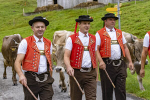 Alpabfahrt, Alpen, Alpfahrt, Alps, Appenzell Ausserrohden, Autumn, Brauchtum, Fall, Herbst, Hundwil, Ostschweiz, Schweiz, Schwägalp, Sennen, Suisse, Switzerland, Tracht, Urnäsch, tradition, Öberefahre