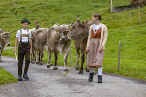 Alpabfahrt, Alpen, Alpfahrt, Alps, Appenzell Ausserrohden, Autumn, Brauchtum, Fall, Herbst, Hundwil, Ostschweiz, Schweiz, Schwägalp, Sennen, Suisse, Switzerland, Tracht, Urnäsch, tradition, Öberefahre