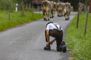 Alpabfahrt, Alpen, Alpfahrt, Alps, Appenzell Ausserrohden, Autumn, Brauchtum, Fall, Herbst, Hundwil, Ostschweiz, Schweiz, Schwägalp, Sennen, Suisse, Switzerland, Tracht, Urnäsch, tradition, Öberefahre