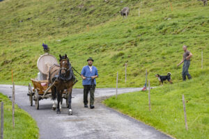 Alpabfahrt, Alpen, Alpfahrt, Alps, Appenzell Ausserrohden, Autumn, Brauchtum, Fall, Herbst, Hundwil, Ostschweiz, Schweiz, Schwägalp, Sennen, Suisse, Switzerland, Tracht, Urnäsch, tradition, Öberefahre