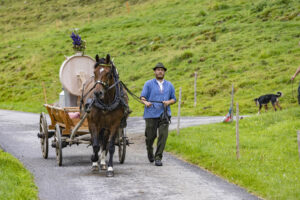 Alpabfahrt, Alpen, Alpfahrt, Alps, Appenzell Ausserrohden, Autumn, Brauchtum, Fall, Herbst, Hundwil, Ostschweiz, Schweiz, Schwägalp, Sennen, Suisse, Switzerland, Tracht, Urnäsch, tradition, Öberefahre