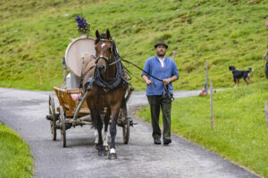 Alpabfahrt, Alpen, Alpfahrt, Alps, Appenzell Ausserrohden, Autumn, Brauchtum, Fall, Herbst, Hundwil, Ostschweiz, Schweiz, Schwägalp, Sennen, Suisse, Switzerland, Tracht, Urnäsch, tradition, Öberefahre