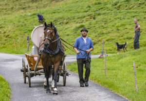 Alpabfahrt, Alpen, Alpfahrt, Alps, Appenzell Ausserrohden, Autumn, Brauchtum, Fall, Herbst, Hundwil, Ostschweiz, Schweiz, Schwägalp, Sennen, Suisse, Switzerland, Tracht, Urnäsch, tradition, Öberefahre