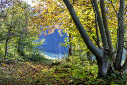 Appenzell, Appenzell Ausserrohden, Appenzeller Hinterland, Autumn, Fall, Herbst, Ostschweiz, Schweiz, Schönengrund, Suisse, Switzerland, Verkehr, Wanderweg, Weg