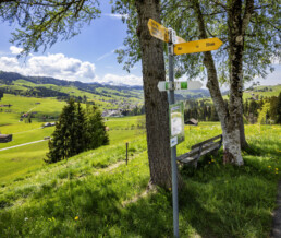 Appenzell, Appenzell Ausserrohden, Appenzeller Hinterland, Frühling, Ostschweiz, Schweiz, Schwellbrunn, Schönengrund, Spring, Suisse, Switzerland, spring