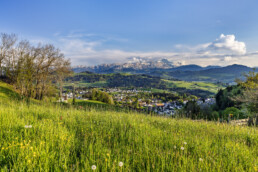 Appenzell, Appenzell Ausserrohden, Blumenwiese, Frühling, Ostschweiz, Schweiz, Spring, Suisse, Switzerland, Teufen, Wiese, spring