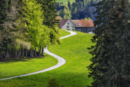 Appenzell, Appenzell Ausserrohden, Appenzellerhaus, Bauerhaus, Blumenwiese, Bühler, Ostschweiz, Schweiz, Suisse, Switzerland, Teufen, Wiese