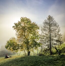 Alpen, Appenzell, Appenzell Ausserrohden, Appenzeller Hinterland, Autumn, Baum, Fall, Herbst, Nebel, Nebelmeer, Ostschweiz, Schweiz, Suisse, Switzerland, Säntis, Urnäsch, Wetter