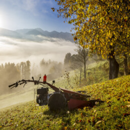 Alpen, Appenzell, Appenzell Ausserrohden, Appenzeller Hinterland, Autumn, Baum, Fall, Herbst, Nebel, Nebelmeer, Ostschweiz, Schweiz, Suisse, Switzerland, Säntis, Urnäsch, Wetter