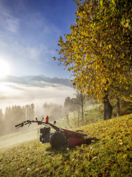 Alpen, Appenzell, Appenzell Ausserrohden, Appenzeller Hinterland, Autumn, Baum, Fall, Herbst, Landwirtschaft, Nebel, Nebelmeer, Ostschweiz, Schweiz, Suisse, Switzerland, Säntis, Urnäsch, Wetter, Wirtschaft