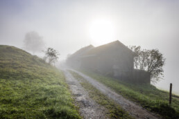 Alpen, Appenzell, Appenzell Ausserrohden, Appenzeller Hinterland, Autumn, Baum, Fall, Herbst, Nebel, Nebelmeer, Ostschweiz, Schweiz, Suisse, Switzerland, Säntis, Urnäsch, Wetter