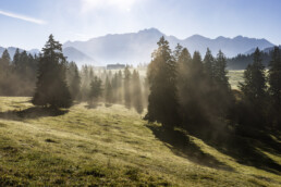 Alpen, Appenzell, Appenzell Ausserrohden, Appenzeller Hinterland, Autumn, Baum, Fall, Herbst, Nebel, Nebelmeer, Ostschweiz, Schweiz, Suisse, Switzerland, Säntis, Urnäsch, Wetter
